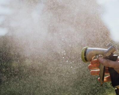 Image for 7 Day Home Maintenance