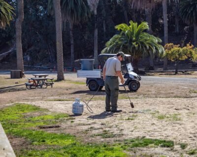 Image for A & L Landscaping