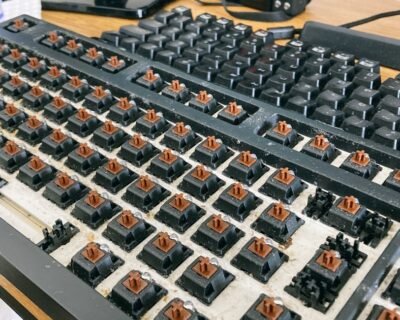 Image for Accurate Pest Management