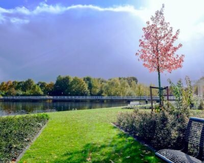 Image for Acer Landscaping