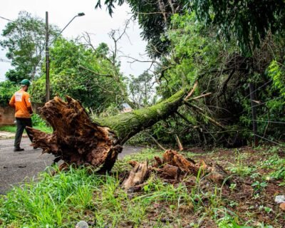 Image for Barnes, Inc.