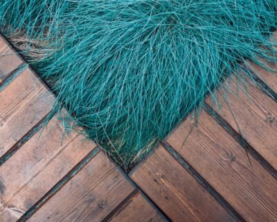 Image for Birch Hill Landscaping