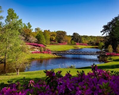 Image for Bloom & Branch Landscaping LL