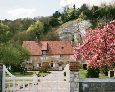 Image for CK Lawn & Landscape