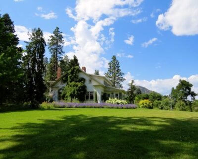 Image for Cut And Clear, LLC