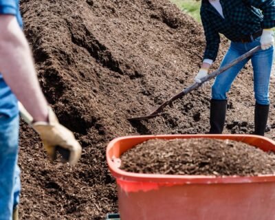 Image for Dane County Lawn Care LLC