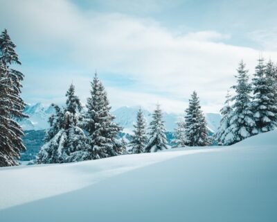 Image for David J. Frank Landscape Contracting