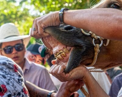 Image for Diamond Dental Group