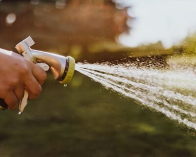 Image for Doe Landscaping of Madison