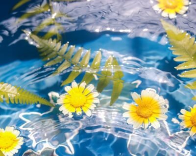 Image for D&R Landscapers