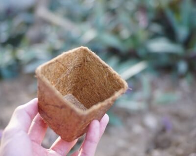 Image for Good Oak Ecological Services