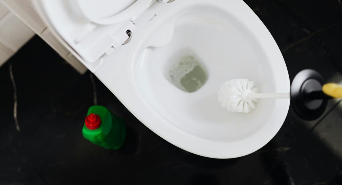 Home Services & Property Maintenance in East Orange