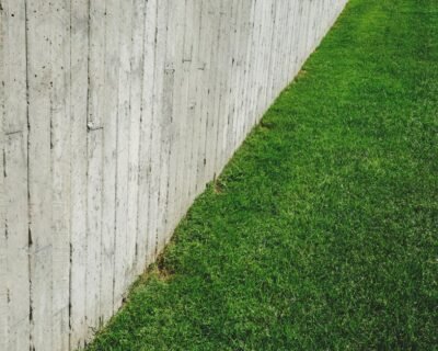 Image for Jesse’s Lawn Care