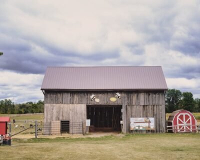 Image for Kittleson Landscape Inc.