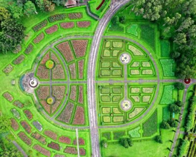 Image for Landscape Designs Nursery