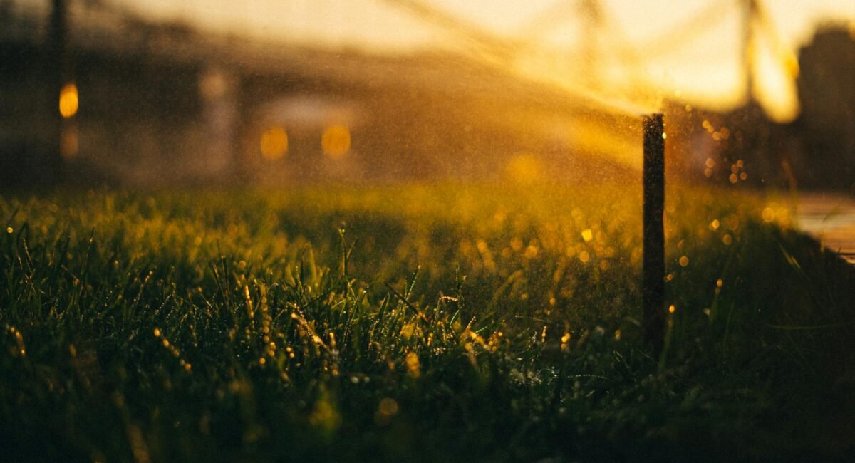 Landscaping & Lawn Care in Irvington