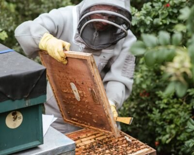 Image for Liberty Pest Management Services