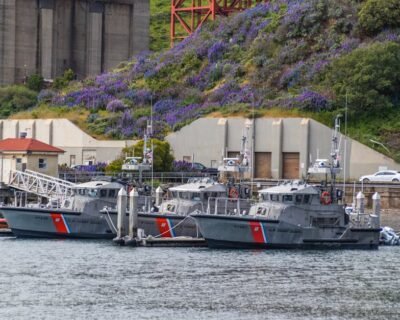 Image for Madison Horticultural and Landscaping Services