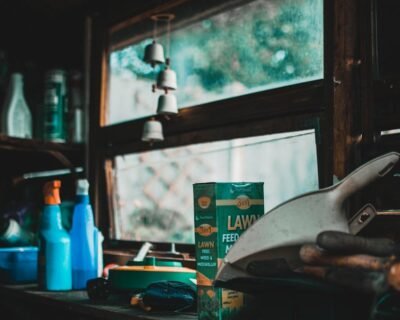 Image for Madison Lawn and Landscape