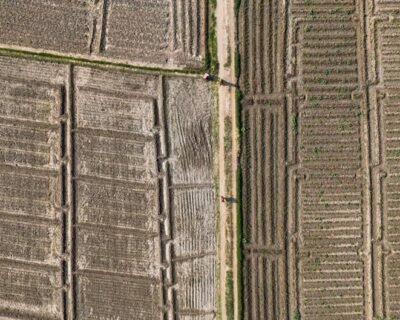 Image for Mava Landscape Management