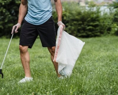 Image for Naturescape Lawn and Landscape Care