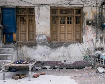 Image for Olson Toon Landscaping Inc.