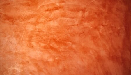 Painting (Interior & Exterior) in New Orleans