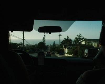 Image for Plowz & Mowz