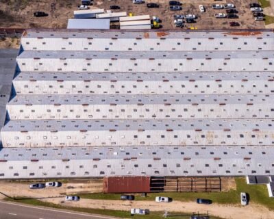 Image for Premier Metal Roofing