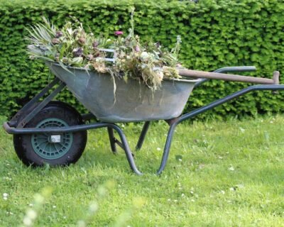 Image for Proscapes, L.L.C.