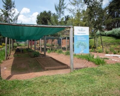 Image for Sebastian Bianco Landscaping