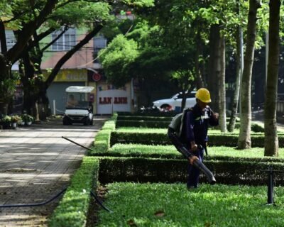 Image for Star Valley Landscapes