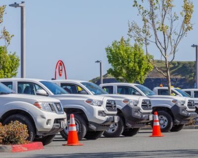 Image for Sunnyside Landscapes