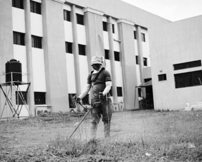 Image for T.Magers Landscaping