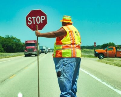 Image for Trotta Landscape