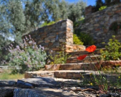 Image for Vince Landscaping